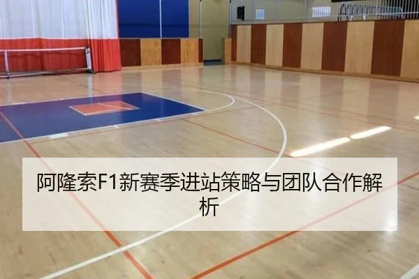 阿隆索F1新赛季进站策略与团队合作解析